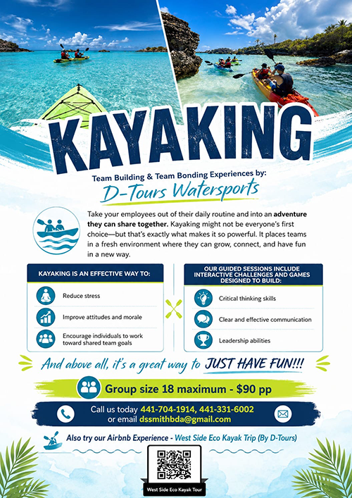 Kayak Tours