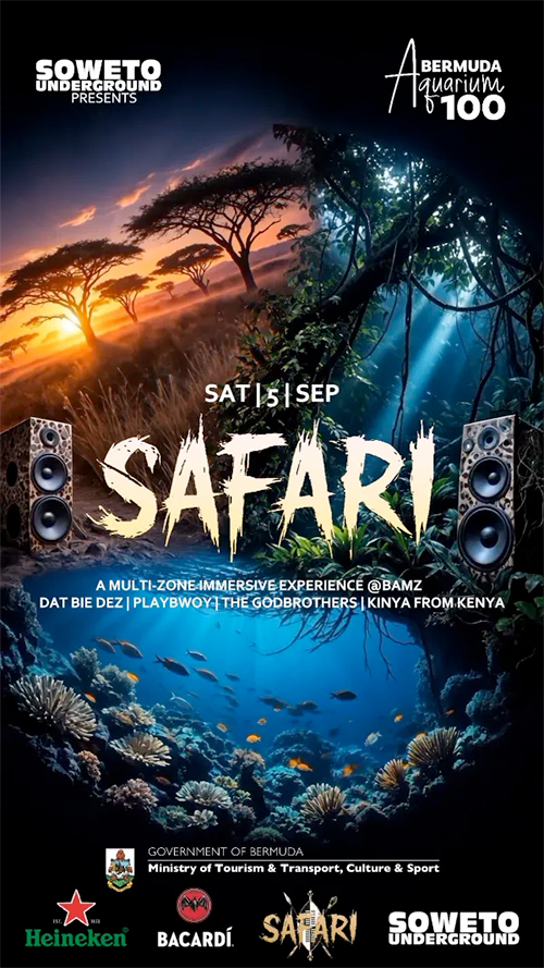 SAFARI — Afrobeats at BAMZ